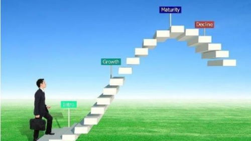 深圳品牌策劃與營(yíng)銷 市場(chǎng)動(dòng)態(tài)與專業(yè)機(jī)構(gòu)的優(yōu)勢(shì)解析